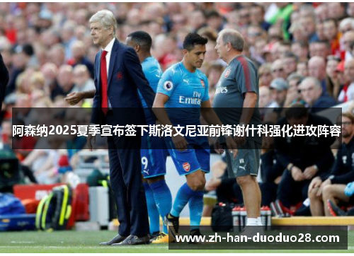 阿森纳2025夏季宣布签下斯洛文尼亚前锋谢什科强化进攻阵容 阿森纳2025夏季宣布签下斯洛文尼亚前锋谢什科强化进攻阵容